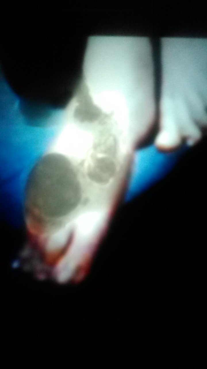 McZoZ2Gq Emma Watson Cum Tributes 35.jpg